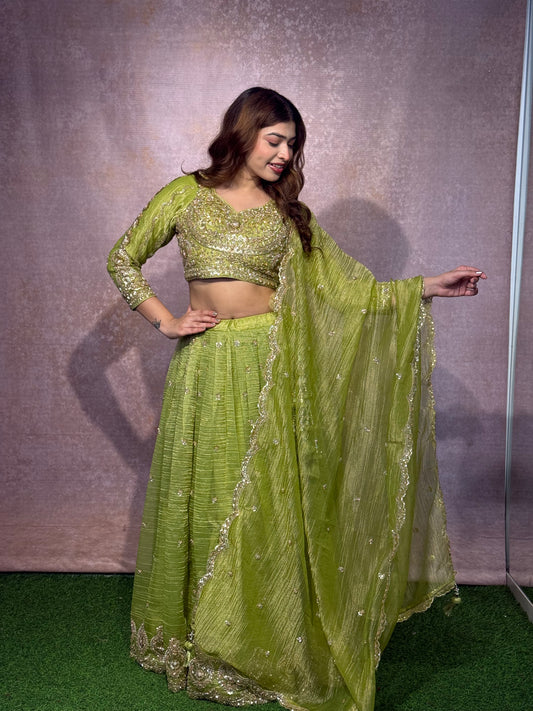 New Colour Style Fancy Handwork Lehenga Choli