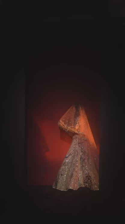Royal Blush Pink & Antique Gold Bridal Lehenga with Peacock Motifs