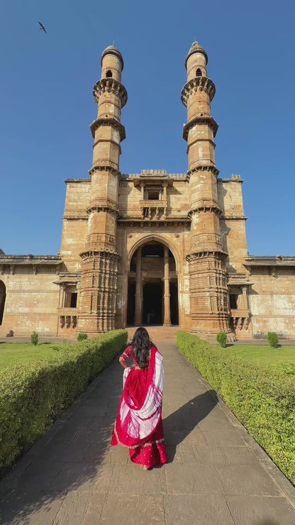 Juhi - Jasmine flower