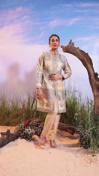 Gold & Silver Embroidered Long Jacket Set